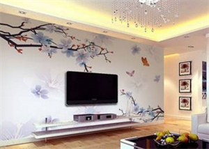 新房软装电视背景有什么要求